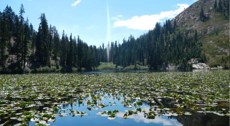 A hiker’s paradise at Homewood ski resort