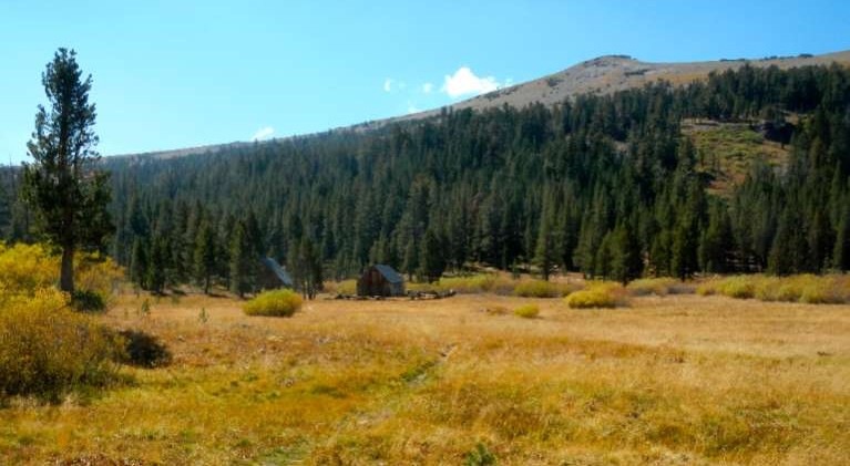 History in the middle of an alpine meadow