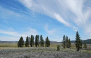 An agreement means less development and more open space in Martis Valley. Photo/LTN