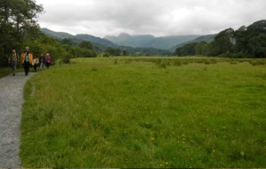 Going on walkabouts in England is common. Photo/LTN file