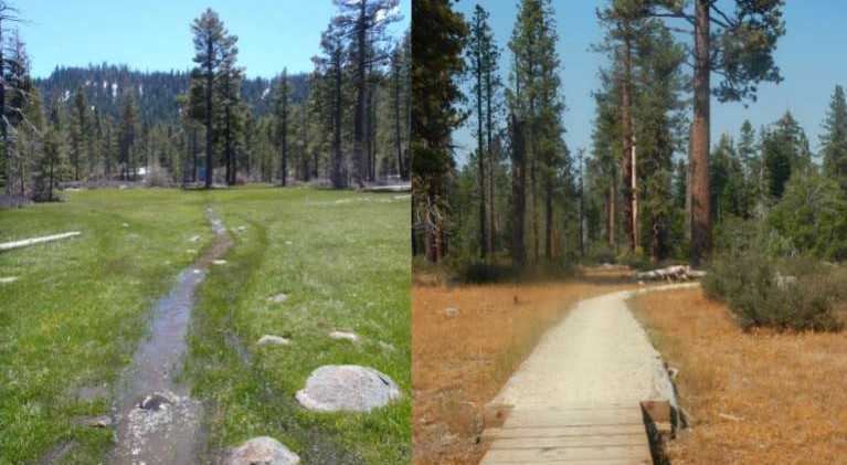 Restoration brings out charm of Ward Creek Park