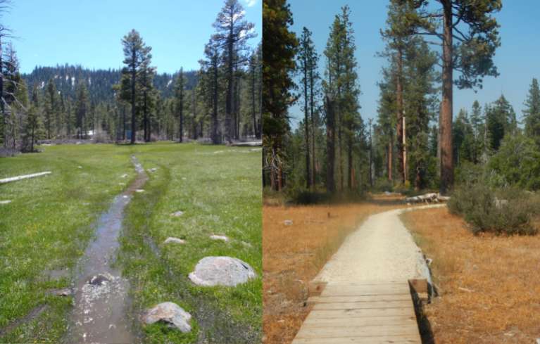 The trail through the meadow, left, before restoration; and after work was completed. Photos/Stat Parks and LTN