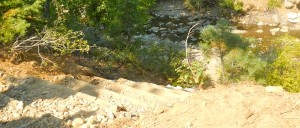 Stairs now allow access to Ward Creek. Photo/Kathryn Reed