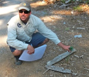 Nathan Shasha points out a newly planted sugar pine. Photo/Kathryn Reed