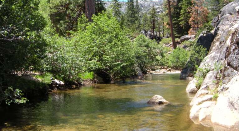USFS, Coke agree to watershed protection deal