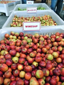 A slew of apple varieties to choose from.