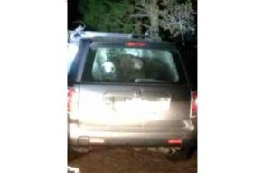 Bears are entering vehicles in Truckee. Photo/Provided