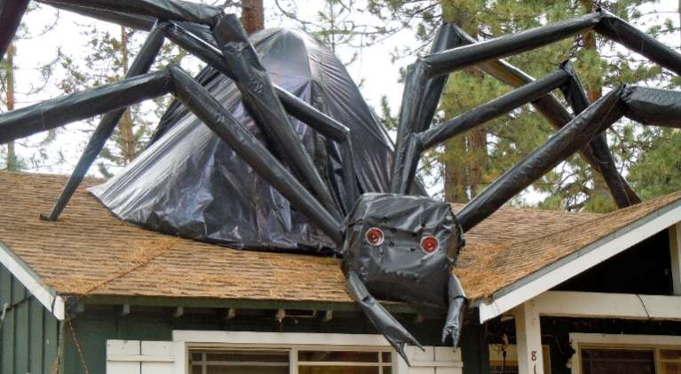 More money spent on adults at Halloween than kids