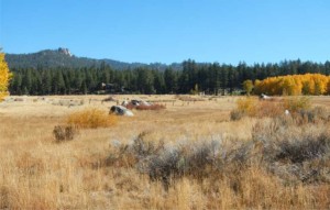 Rabe Meadow in Stateline is a small part of what the Lake Tahoe Basin Management Unit oversees. Photo/LTN