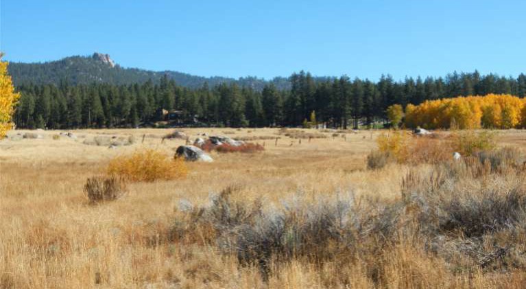 Rabe Meadow fire extinguished