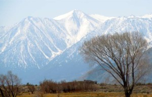 View of the Sierra from Genoa. Photo/LTN file
