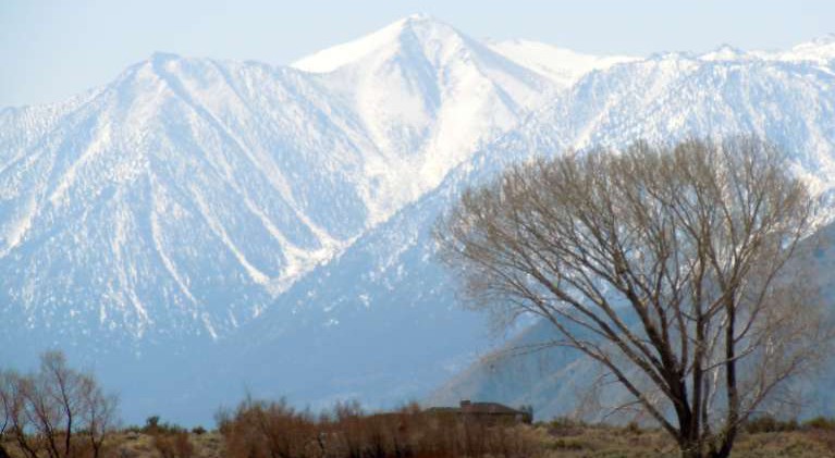Sierra had a growth spurt during drought