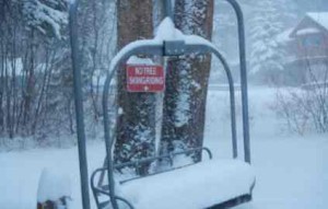 More than a foot of snow fell overnight in South Lake Tahoe. Photo/LTN