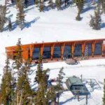 tamarack