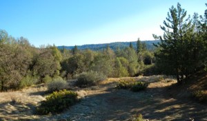Views between Placerville and Camino.