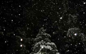 Snow is falling Jan. 30 in Lake Tahoe. Photo/LTN