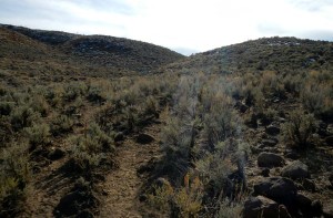 The landscape, even at 5,500 feet, is much different than Tahoe.