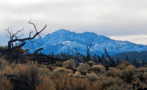 Snow covered mountains in the distance.