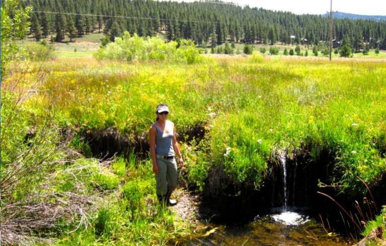 MM_headcut – example of the type of instream erosion caused by excessive flow in Middle Martis Creek. Restoration would eliminate these peak flows and restore the headcuts. (photo credit, Brian Hastings, Balance Hydrologics).