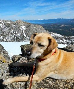 AJ with a frozen Echo Lake in the background and Lake Tahoe in the distance. Photo/Kathryn Reed