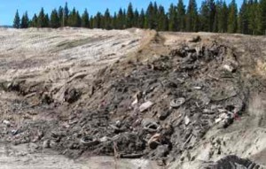 Meyers Landfill has been in litigation for decades. Photo/USFS file