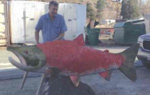 Peter Hazel's fish will be on display in the Napa Valley. Photo/Provided