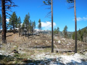 Remnants of the Burnside Fire from a few years ago are still visible.