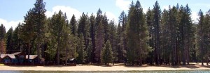 camp rich-2