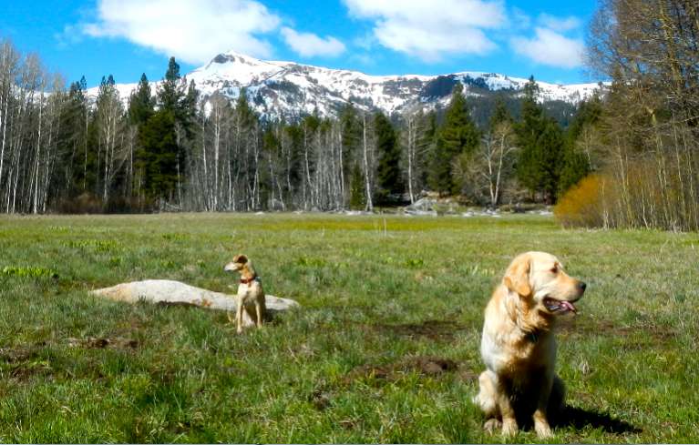 AJ and Cody with Red Lake Peak in the background. Photos/Kathryn Reed