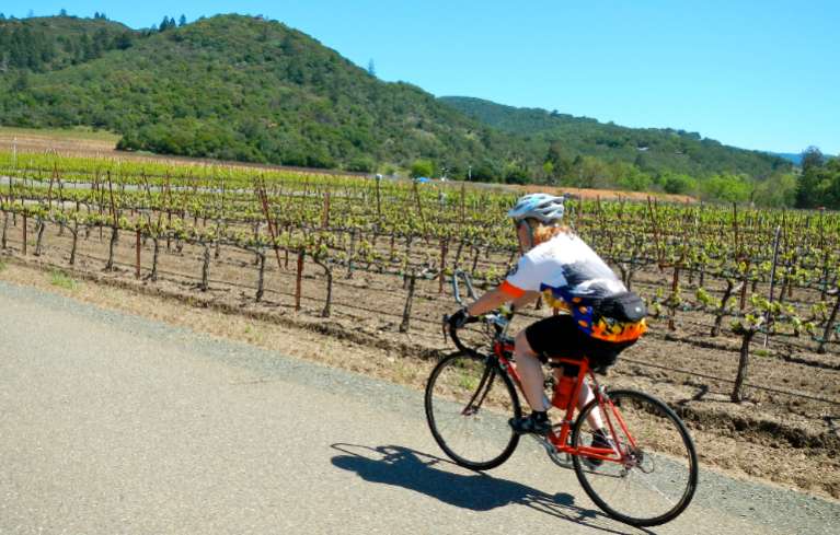 Sue Wood pedals past a vineyard on her way to Chateau St. Jean. Photos/Kathryn Reed
