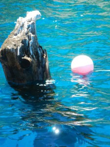 A tree stump is one of many obstacles in the way of boaters on Lake Tahoe.
