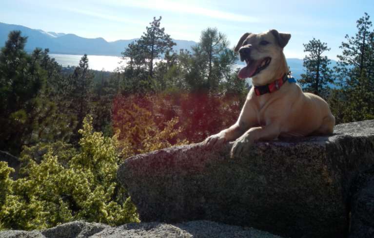 AJ on top of the boulders at the vista point in Van Sickle Bi-State Park. Photos/Kathryn Reed