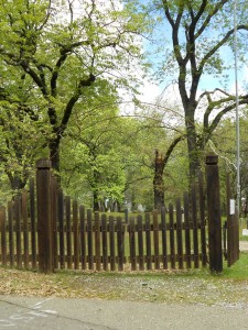 Old City Cemetery
