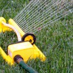 sprinkler