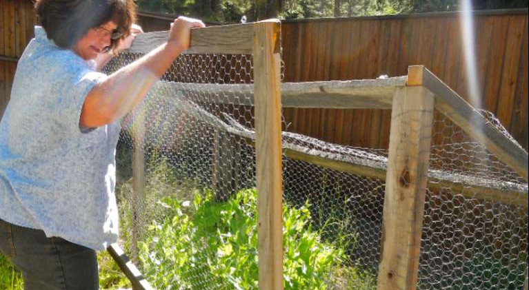 Food safety in the edible garden