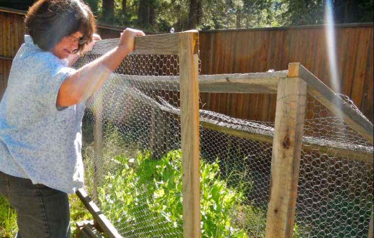 Toni Sopocko closes the bin to her vegetable garden. Photos/Kathryn Reed