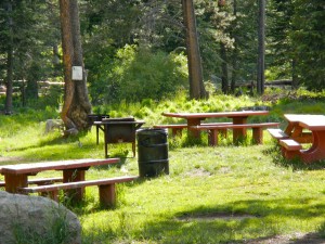 Day use area at the park.