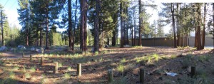 Above, is what a section of the Tahoe Valley are looks like today. Below, is conceptually what it could become.
