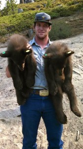 Nevada Department of Wildlife Conservation Aid Cooper Munson holds two of three black bear cubs captured and safely released on Wednesday July 16, 2014 in the Kingsbury Grade area near Stateline, Nevada on Lake Tahoe’s South Shore. NDOW has captured and safely released nine potentially nuisance bears since July 1. Photo/NDOW