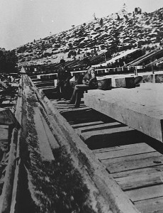 Flumes eased the transport of logs.