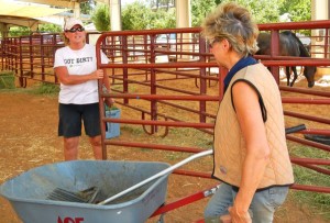Rita Uhren and Chris Navratil clean stalls at the fairgrounds where they are caring for evacuated horses.