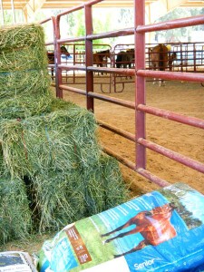 Donations of feed for horses is needed.