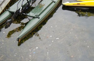 On July 22, Tahoe Keys Marina was told Styrofoam needed to be cleaned up; on July 29 it was still floating by rental boats and near the fuel docks.