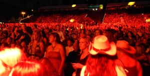 Many fans were dancing throughout the night.