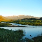 upper truckee marsh