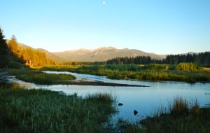 Upper Truckee Marsh is one of the most sensitive areas in the basin. 
