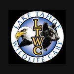 ltwc