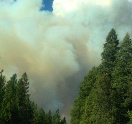 Tahoe embracing Wildfire Awareness Month