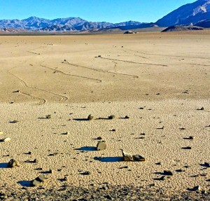 Rocks find their way onto the playa.