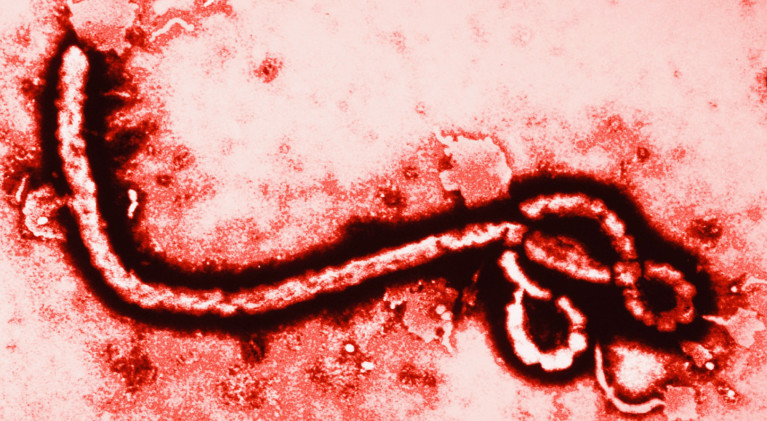 Editorial: Calm down, Ebola won’t kill us all